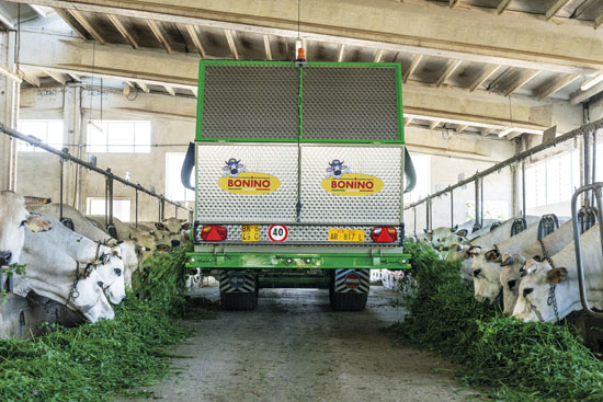 Distribuzione-erba-con-falcia-autocaricante-Bonino-feeding-out-zero-grazing-distribution-herbe-avec-faucheuse-autochargeuse-distribucion-hierba-con-segador-autocargador-Grasverteilung-mit-Mähladewagen