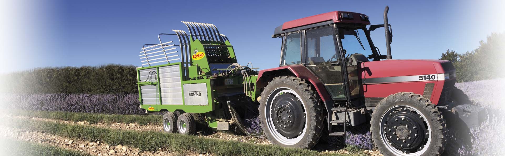 Bonino-macchina-raccolta-lavanda-alavoro-machine-harvesting-lavandula-dentata-machine-récolte-lavande-en-action-maquinaria-recogida-lavanda-en-funcionamiento-Erntemaschine-für-Lavendel-im-Einsatz