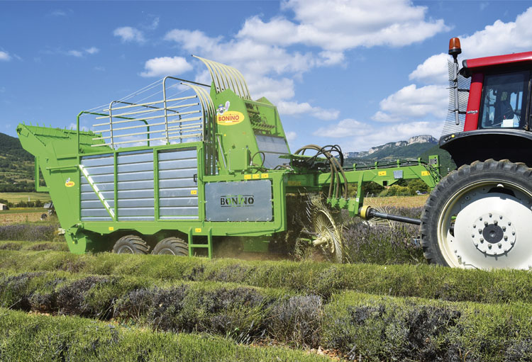 Bonino-macchina-raccolta-lavanda-lavender-harvesting-machines