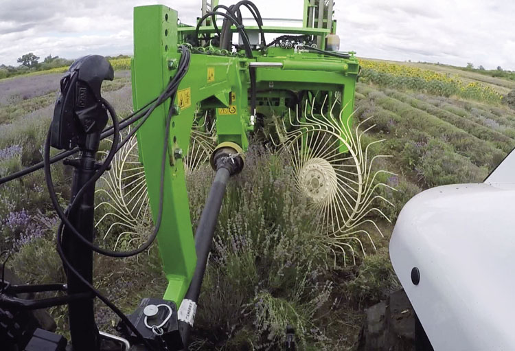 Bonino-macchina-raccolta-lavanda-lavender-harvesting-machines